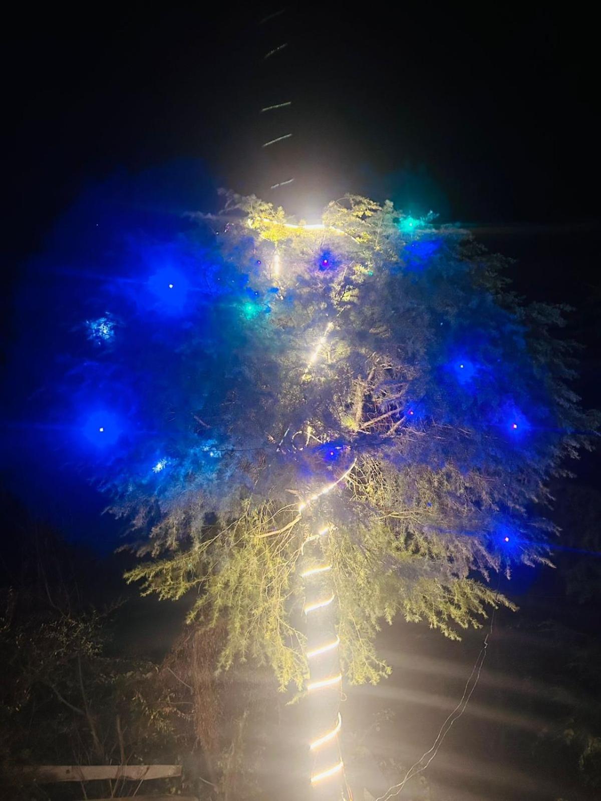 Tree Hub Jibhi Apartment Ngoại thất bức ảnh