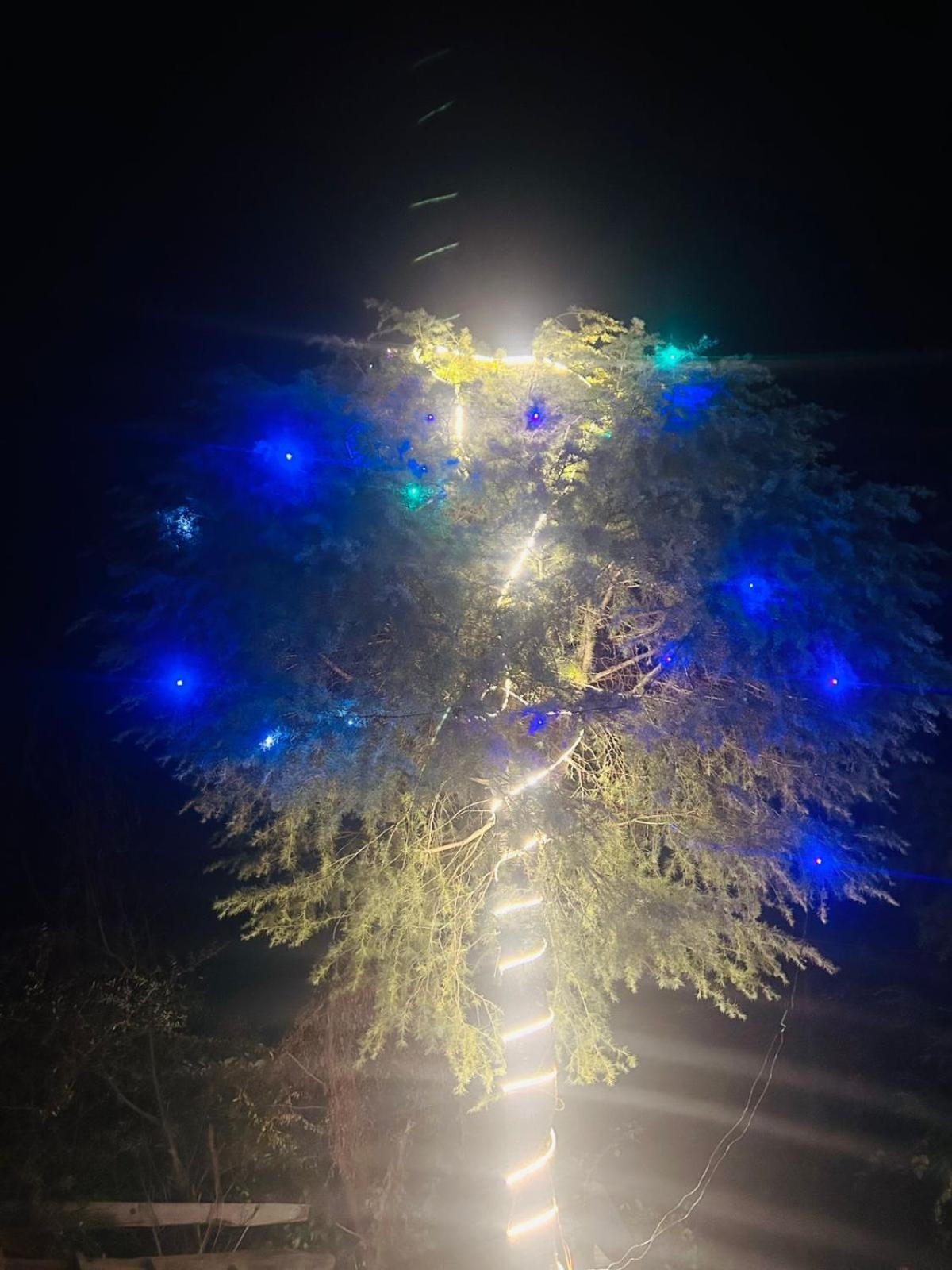 Tree Hub Jibhi Apartment Ngoại thất bức ảnh