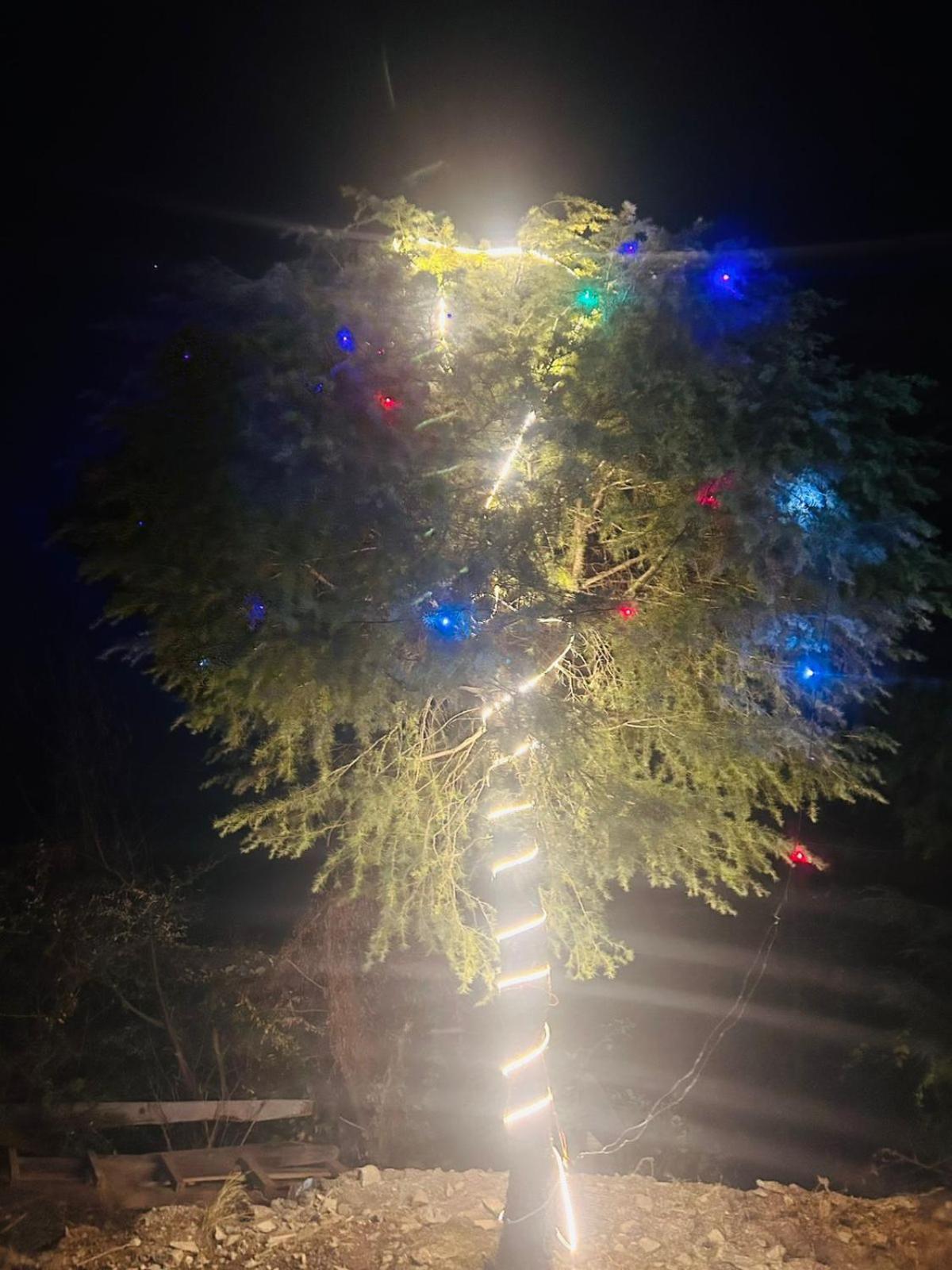 Tree Hub Jibhi Apartment Ngoại thất bức ảnh